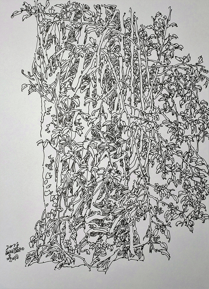 李晓明线描写生6