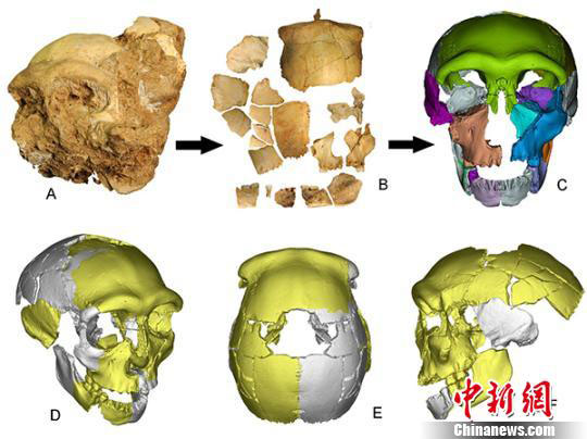 安徽发现30万年前古人类化石