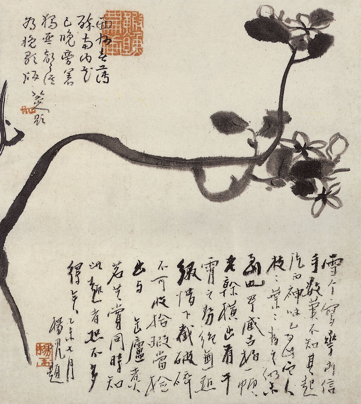 图7：茉莉花图页31×27.jpg